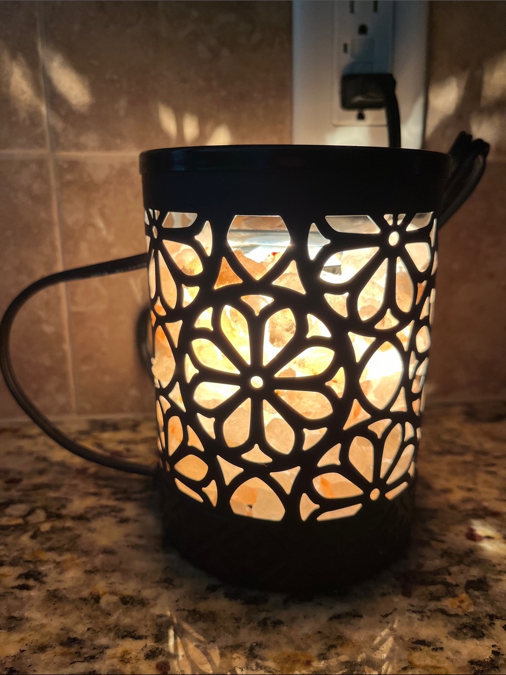 Himalayan Salt Lamp Electric Fragrance Warmer in Black Floral Cutout